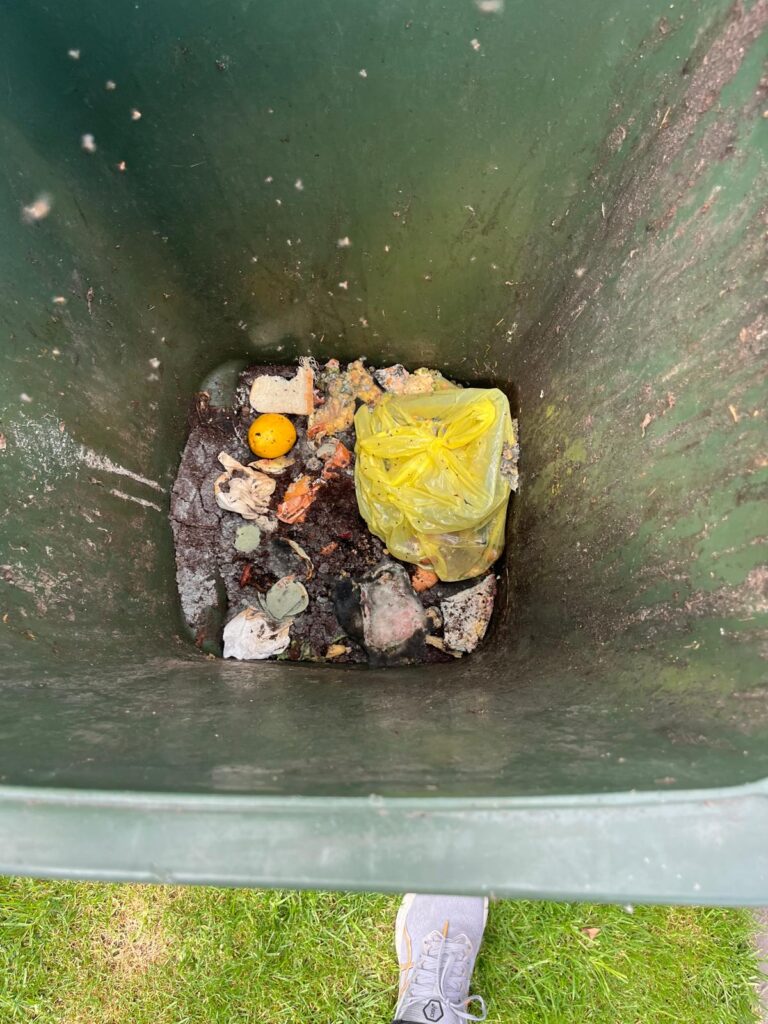 shopping centres bin cleaner
