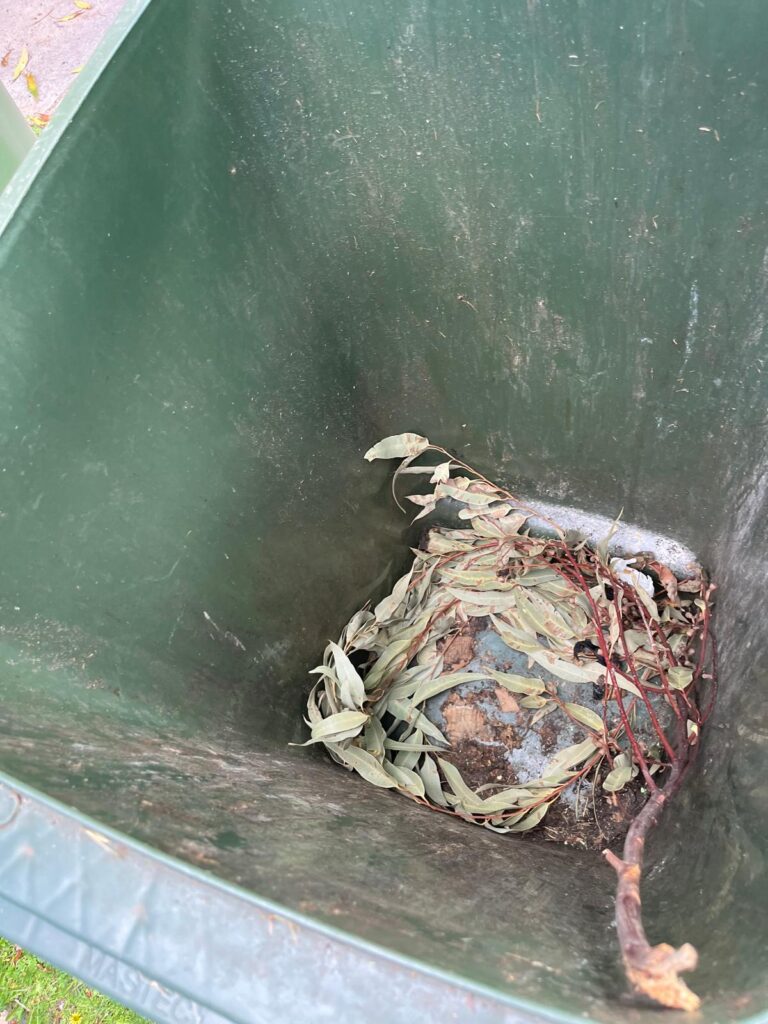 shopping centre bin cleaning
