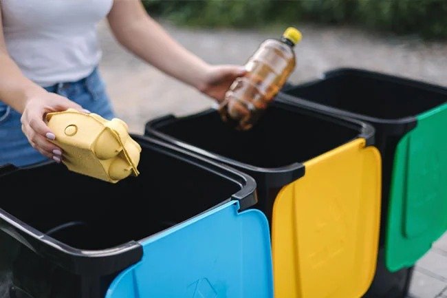 Commercial Bin Cleaning
